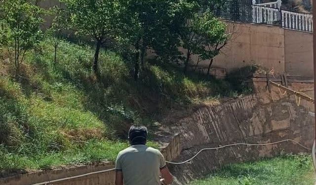 Haşereyle mücadele çalışmalarını sürdürüyor