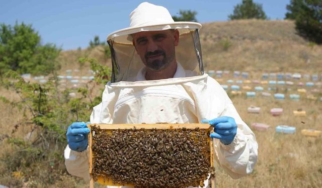 200 tonun üzerinde çiçek balı hasat edildi: İlkbahar yağışları verimi düşürdü