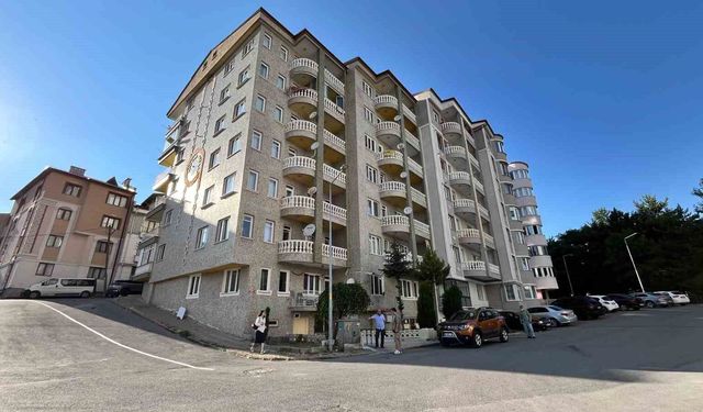 Bahçe duvarı örmek istediklerinde gerçeği öğrendiler