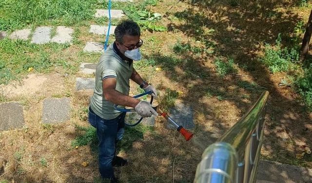 Larva ilaçlaması ve temizlik çalışmaları sürüyor