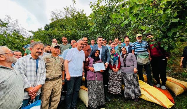 Ordu'da yaklaşık 1 ton fındık cami ihtiyaçları için toplandı