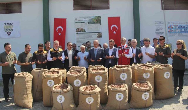 TMO Genel Müdürü Güldal: 'Geçen yılın fındık mahsulü bu yıl kesinlikle alınmayacak'