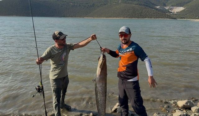 Turna avına çıkan balıkçıların oltasına 127 santimlik dev yayın takıldı