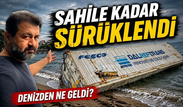 Fatsa’da Balkona Çıktı Denize Bakınca Şaşkına Döndü: Kıyıya Kadar Geldi