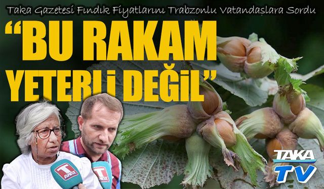 Taka Gazetesi Fındık Fiyatlarını Trabzonlu Vatandaşlara Sordu; “Bu Rakam Yeterli Değil”