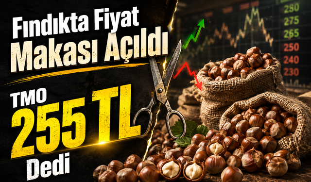 Fındık Fiyatları Alev Aldı: Üreticinin Gözü 24 Ağustos’ta
