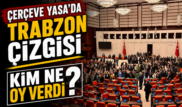 Vekiller Ayrıştı: Çerçeve Yasa’da Trabzon’dan 4 Kabul, 2 Ret