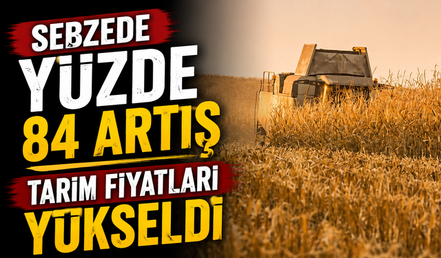 Tarım-ÜFE Temmuzda Yükseldi: Sebze Fiyatlarında Artış Yüzde 84’ü Aştı