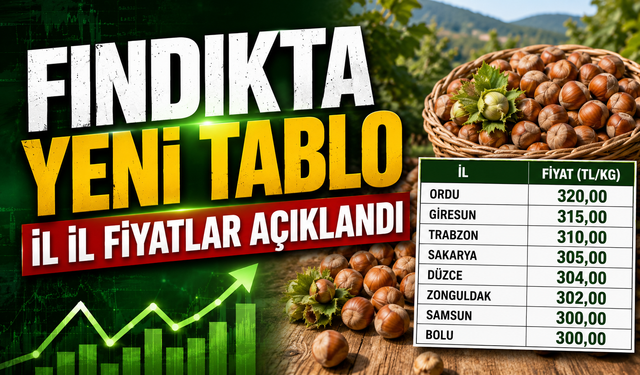 Fındık fiyatlarında makas açıldı: Bu şehirler de fındık fiyatları 300TL'ye ...