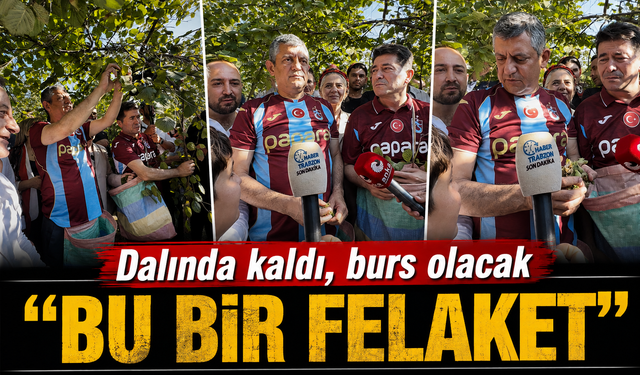 Özgür Özel Trabzon’da fındık topladı: Dalında kalan ürünün nedenini açıkladı