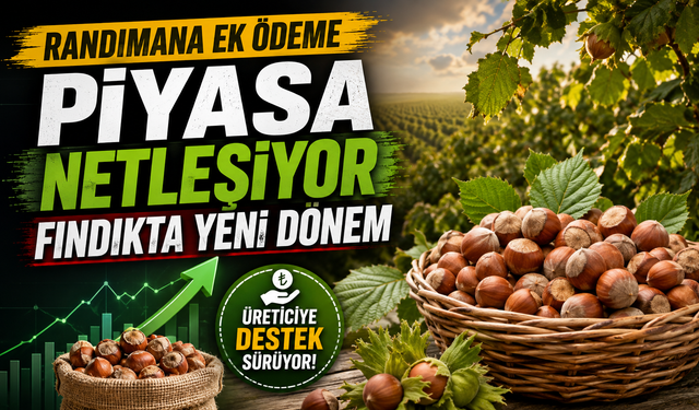 Fındıkta kritik gün: TMO alımları 24 Ağustos’ta başlıyor