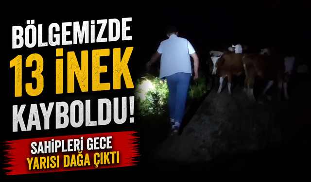 Gece yarısı dağa çıktılar: Saatler sonra izlerini buldular