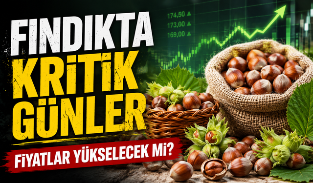 Trabzon fındık fiyatı ne kadar? TMO ile fark dikkat çekiyor