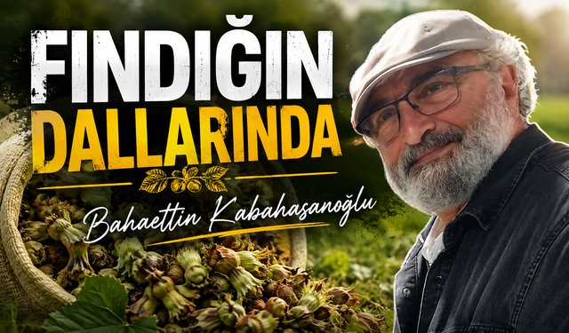 Fındığın Dallarında