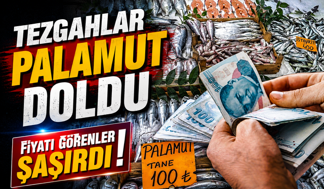 Palamut Bolluğu Tezgaha Yansıdı: Tanesi 125 TL’ye Kadar Düştü