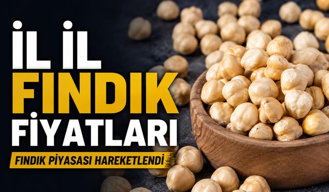 Fındık Piyasası Hareketlendi: Giresun’da Fiyat 250 TL’yi Gördü