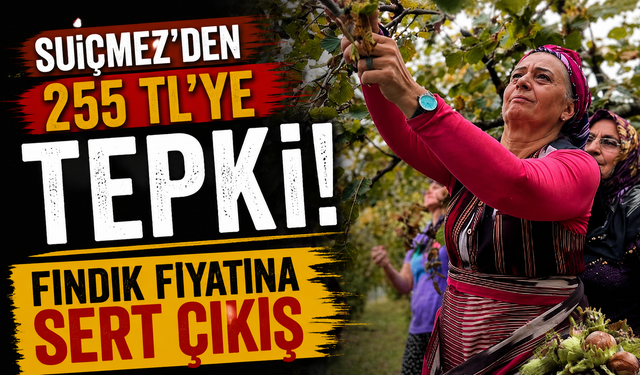 Sibel Suiçmez’den TMO’nun Fındık Fiyatına Sert Tepki