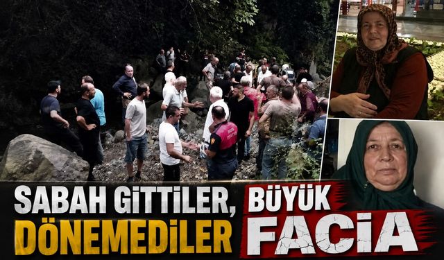 Ordu’da Fındık Toplamaya Giden İki Kardeşten Acı Haber Geldi