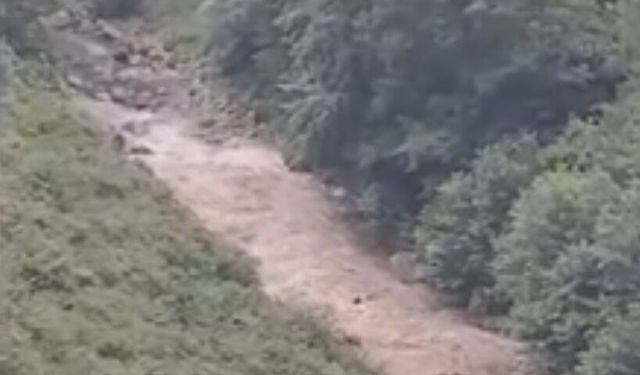 Giresun'da iki kız kardeşin ölümüne neden olan selin başlangıç anı kameraya yansıdı