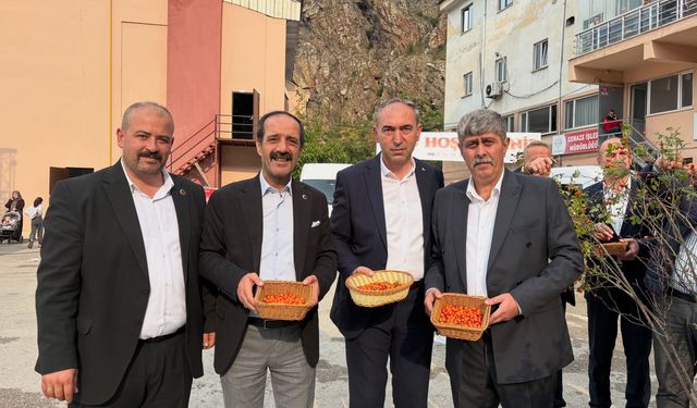 Torul’da Kuşburnu Festivali Coşkusu: Kültür ve Hatıralar Yeniden Canlandı