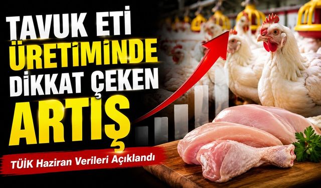 Tavuk Eti Üretiminde Dikkat Çeken Artış: TÜİK Haziran Verileri Açıklandı