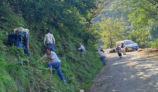 Giresun’da Örnek İmece: Hastaneye Giden Ailenin Fındığını 20 Köylü Topladı