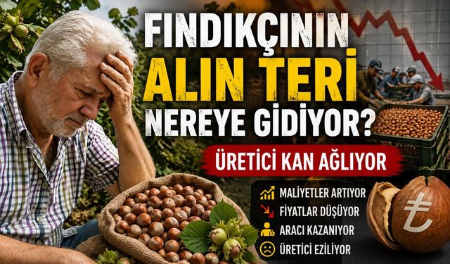 Fındıkta 85 TL’lik fark tartışması: Bu para kimin cebine gidiyor