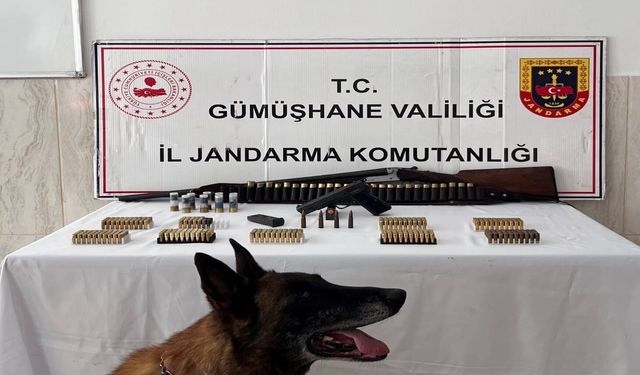 Kürtün’de Jandarma Baskını: Evden Ruhsatsız Silah ve Yüzlerce Fişek Çıktı
