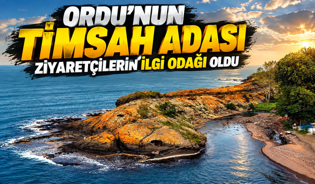 Ordu’nun yıllarca fark edilmeyen Timsah Adası şimdi ziyaretçi akınına uğruyor