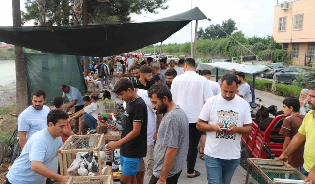 Adana'da kuş meraklıları kuş pazarında buluşuyor
