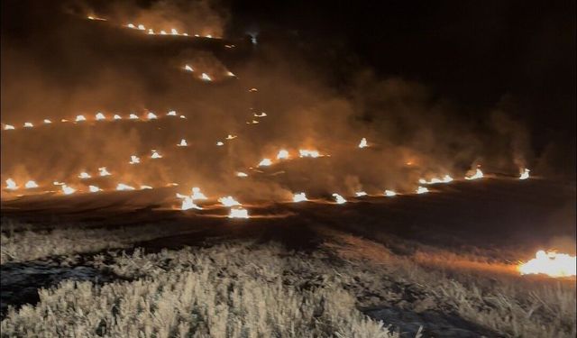 Anız yangını ormanlık alana sıçramadan söndürüldü