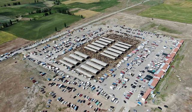 İç Anadolu Bölgesi'nin en büyük hayvan pazarı geçici olarak kapatıldı