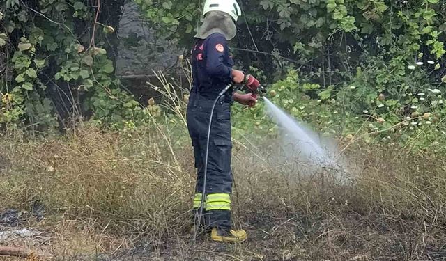 Temizlik ateşi yangına neden oldu