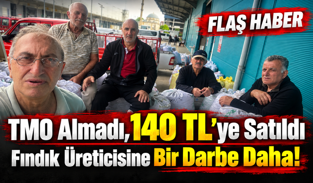 Arsin’de Fındık Üreticisine TMO Şoku: Ürün 140 TL’ye Gitti