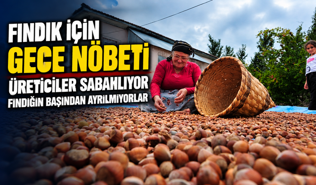 Giresun’da Fındık İçin Gece Nöbeti: Üreticiler İmeceyle Bekliyor