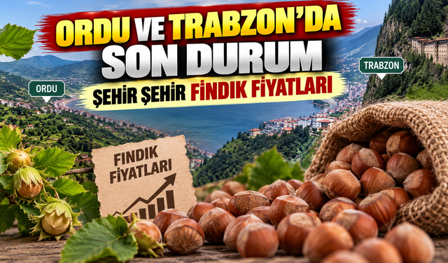 Fındığını satacaklar dikkat: Şehir şehir güncel fiyatlar