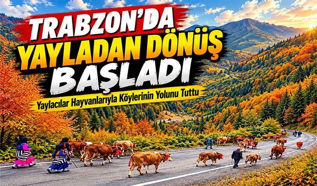 Trabzon’da Yayladan Dönüş Başladı: Yaylacılar Hayvanlarıyla Köylerinin Yolunu Tuttu