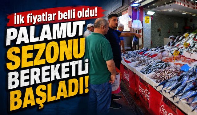 Palamut sezonu bereketli başladı: İlk Fiyatlar Belli Oldu!