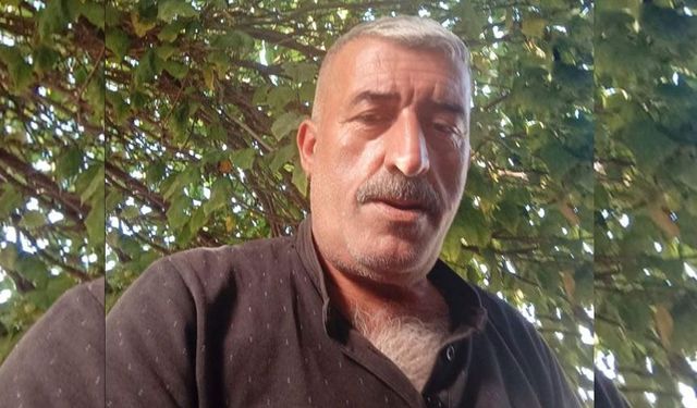 Rize'ye Azerbaycan'dan Acı Haber: TIR Şoförü Ömer Sarıhan Hayatını Kaybetti