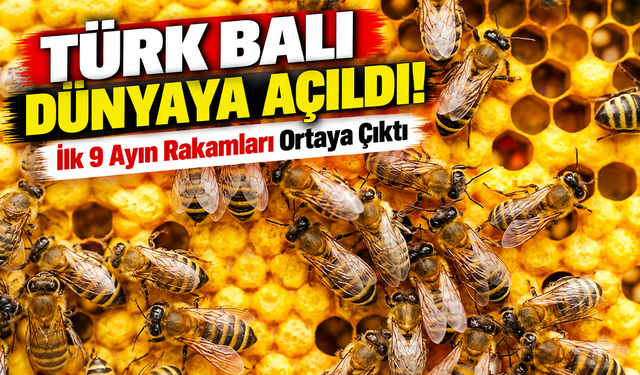 Türk balı dünyaya açıldı!; İlk 9 Ayın Rakamları Ortaya Çıktı