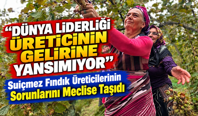 Suiçmez Fındık Üreticilerinin Sorunlarını Meclise Taşıdı; “Dünya Liderliği Üreticinin Gelirine Yansımıyor”