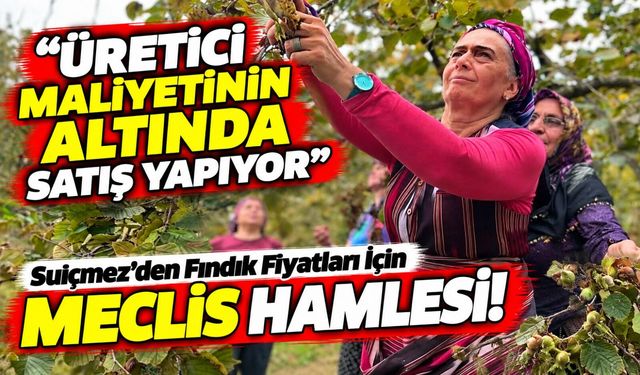 Fındık Üreticisine Fiyat Darbesi! Suiçmez'den TMO'ya Sert Tepki
