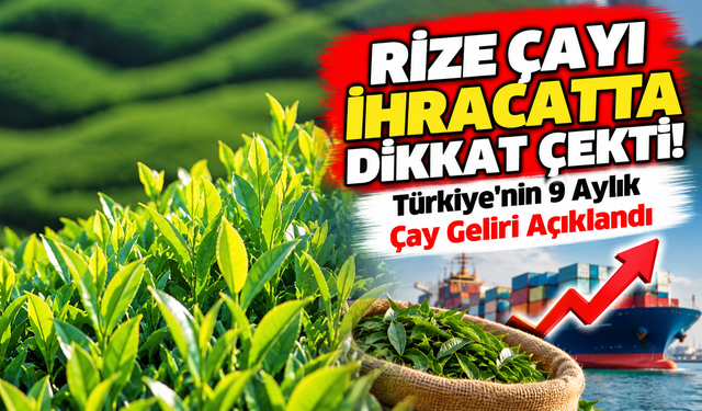 Rize Çayı İhracatta Dikkat Çekti! Türkiye'nin 9 Aylık Çay Geliri Açıklandı