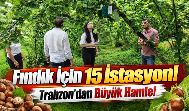Trabzon'da Kahverengi Kokarcaya Karşı Teknoloji Hamlesi: Üç Ülkede 15 İstasyon Kurulacak