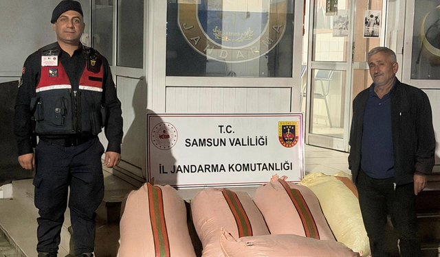 Samsun'da Fındık Dolandırıcılığı İddiası! 2 Şüpheli Yakalandı