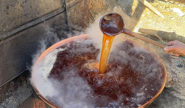 Giresun'da Pekmezden Büyük Kazanç! 5 Kilosu 7 Bin Lira