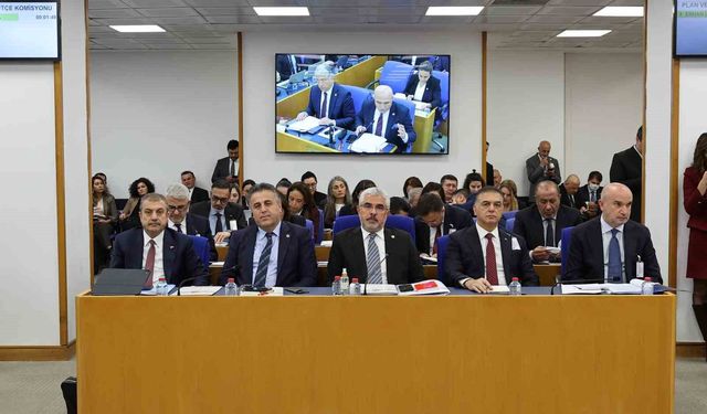 AK Parti Samsun Milletvekili Aksu: '(Fon düzenlemesi hakkında) Devir işlemlerinde kamu kaynağı kullanılmayacak'
