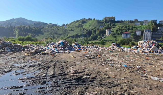 Ardeşen Belediyesi'ne 2,3 milyon lira vahşi depolama cezası