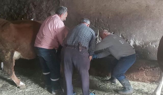 Aydıntepe'de yavru atık bildirimi üzerine saha çalışması yapıldı
