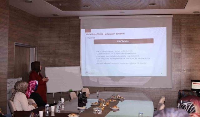 Bayburt'ta sağlık personeline gebelik ve anne sağlığı eğitimi